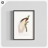 1-7_Des-Oiseaux-de-Paradis_blk