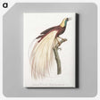 1-7_Des-Oiseaux-de-Paradis_canvas