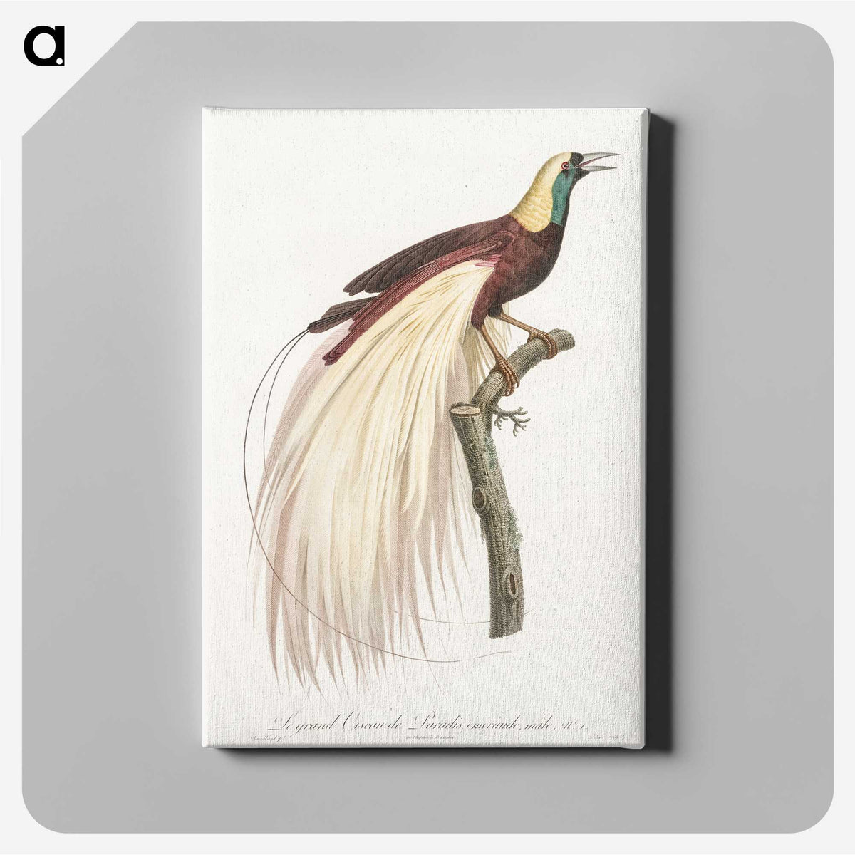 1-7_Des-Oiseaux-de-Paradis_canvas