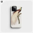 1-7_Des-Oiseaux-de-Paradis_phone