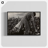 1-7_Dorothea-Lange_blk-crop