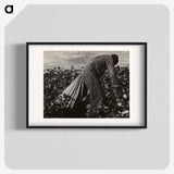 1-7_Dorothea-Lange_blk