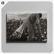 1-7_Dorothea-Lange_canvas