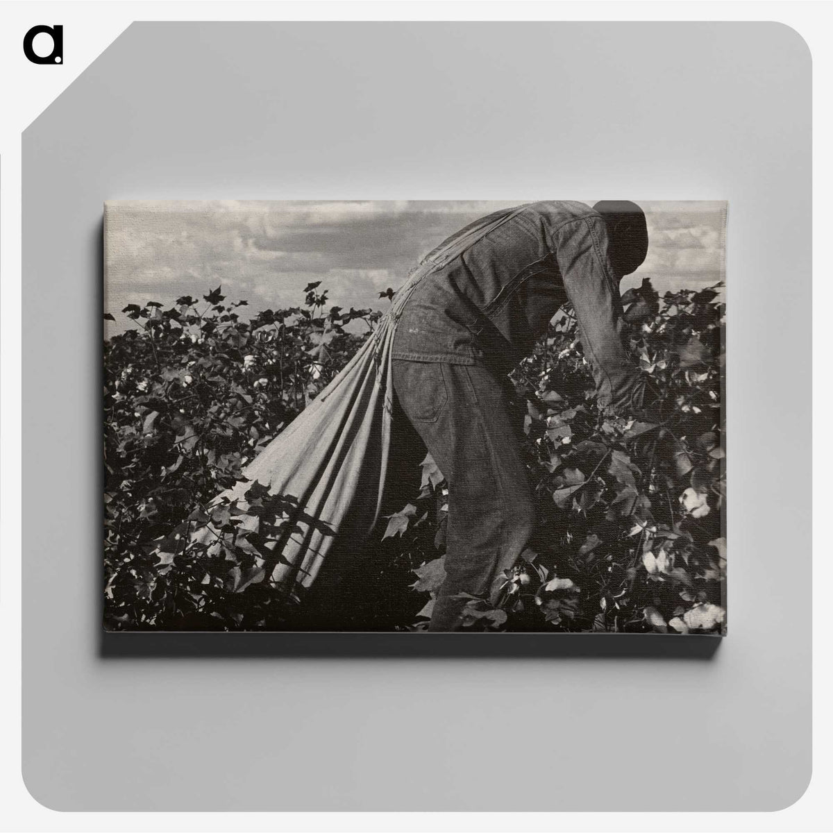 1-7_Dorothea-Lange_canvas