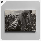 1-7_Dorothea-Lange_canvas