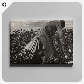 1-7_Dorothea-Lange_canvas