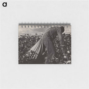 アートメモ帳-Stoop Labor in Cotton Field, San Joaquin Valley, California - ドロテア ラング Memo.
