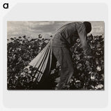 1-7_Dorothea-Lange_picture-crop