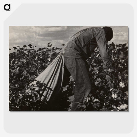1-7_Dorothea-Lange_picture-crop