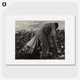 1-7_Dorothea-Lange_picture