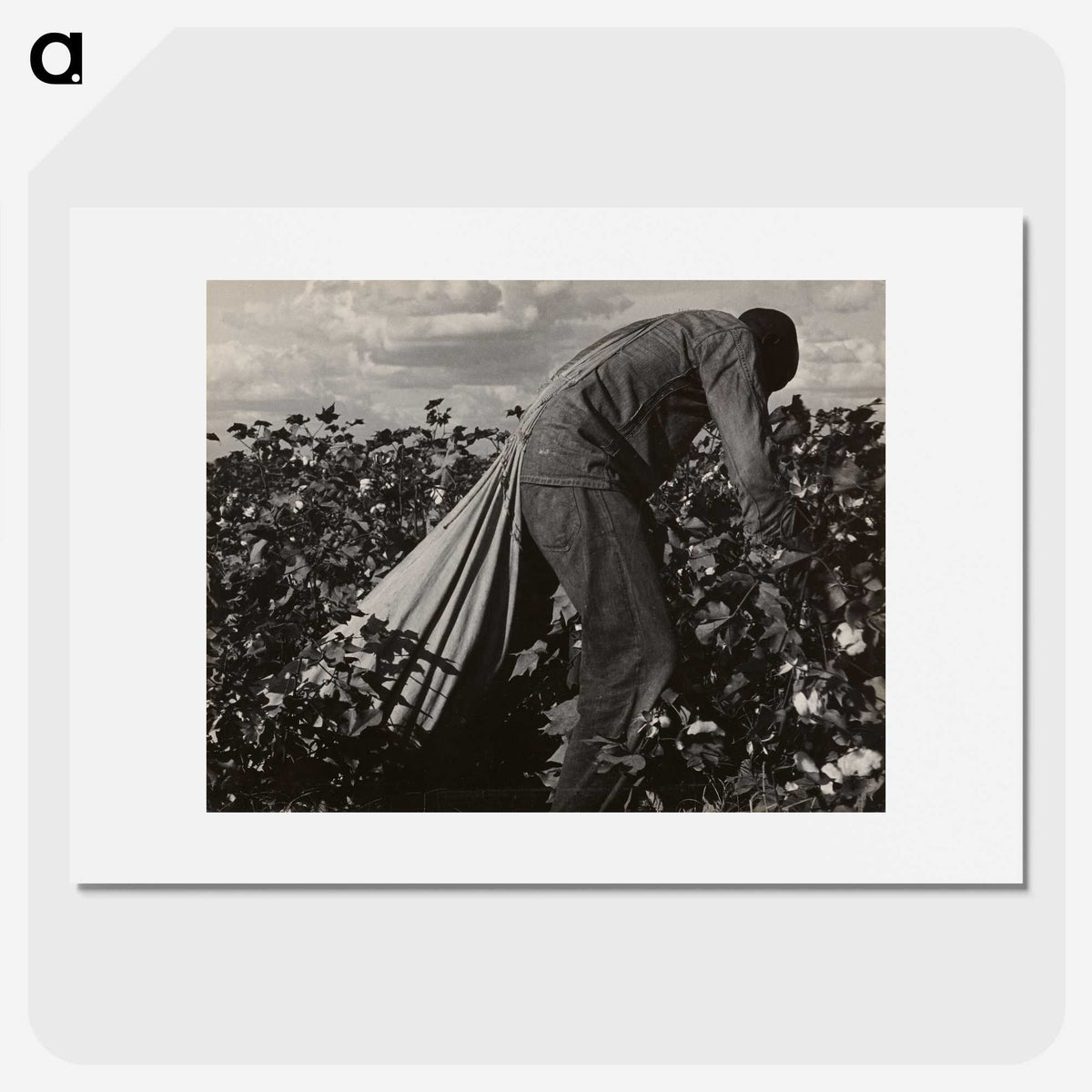 1-7_Dorothea-Lange_picture