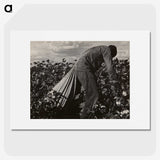 1-7_Dorothea-Lange_picture