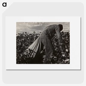 1-7_Dorothea-Lange_picture
