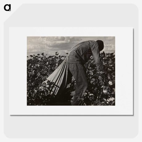 1-7_Dorothea-Lange_picture