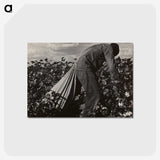 1-7_Dorothea-Lange_postcard