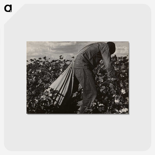 1-7_Dorothea-Lange_postcard