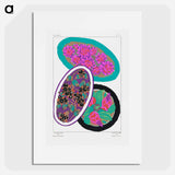 Suggestions pour étoffes et tapis: 60 motifs en couleur - E.A.セギー Poster.