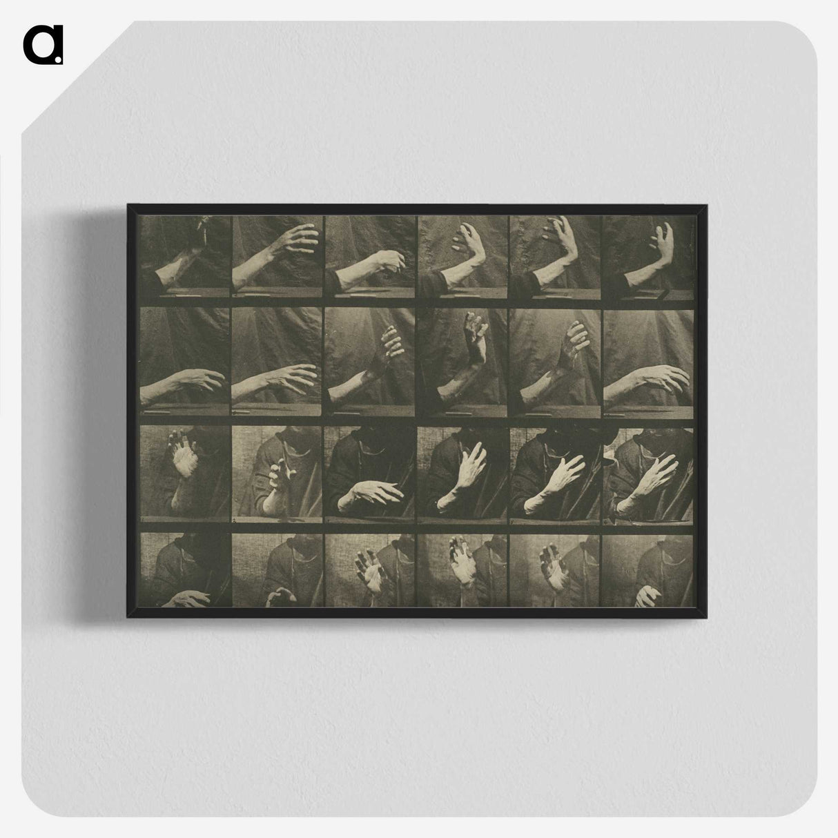 1-7_Eadweard-Muybridge_blk-crop