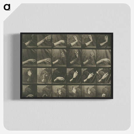 1-7_Eadweard-Muybridge_blk-crop