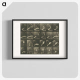 1-7_Eadweard-Muybridge_blk