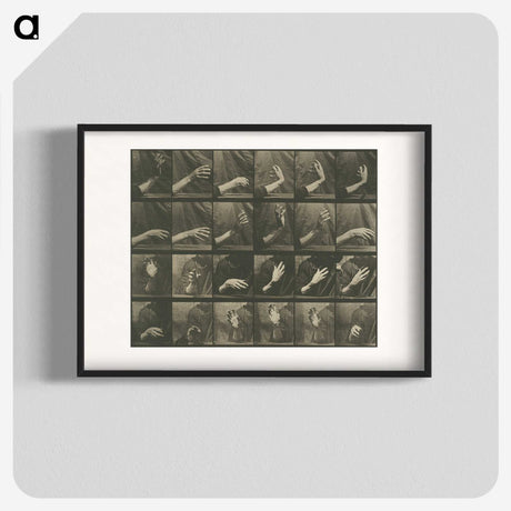 1-7_Eadweard-Muybridge_blk