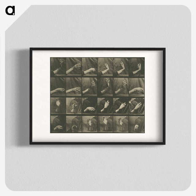 1-7_Eadweard-Muybridge_blk