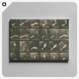 1-7_Eadweard-Muybridge_canvas