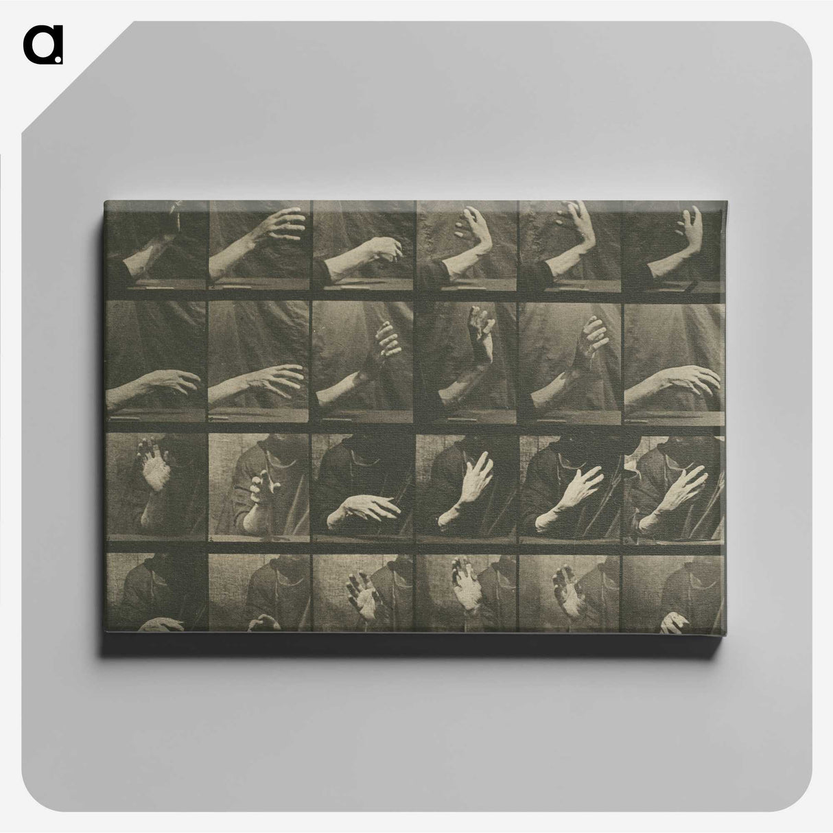 1-7_Eadweard-Muybridge_canvas