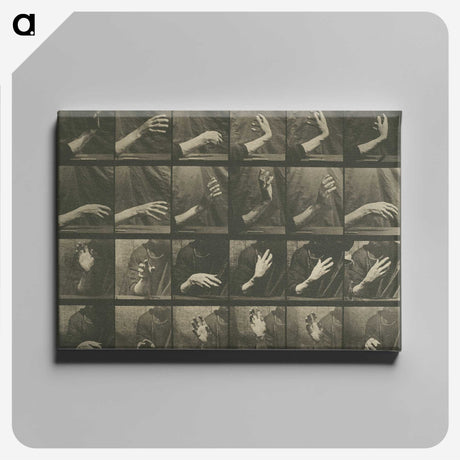 1-7_Eadweard-Muybridge_canvas