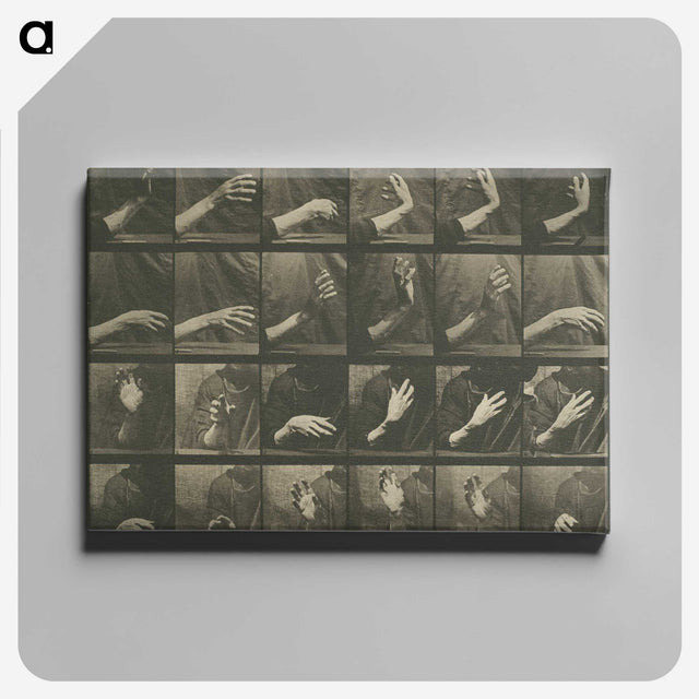 1-7_Eadweard-Muybridge_canvas