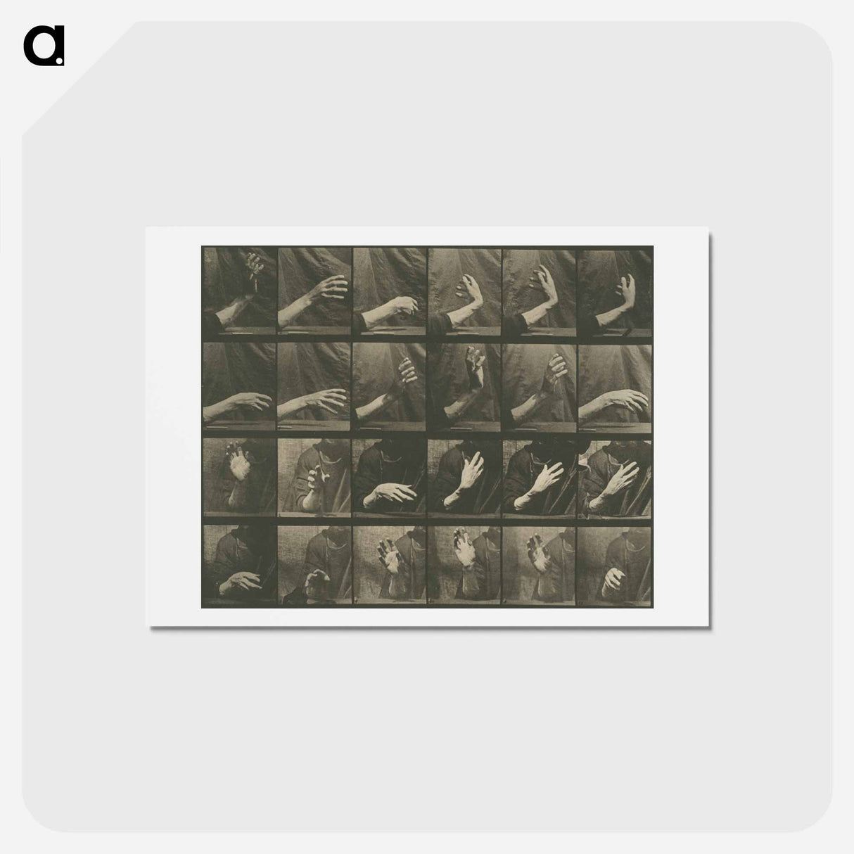 アートポストカード-Animal Locomotion, Plate 535
 - エドワード マイブリッジ Postcard.
