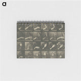 1-7_Eadweard-Muybridge_memo