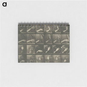 1-7_Eadweard-Muybridge_memo
