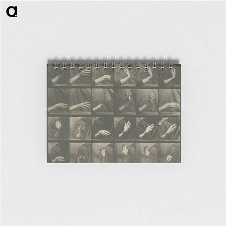 1-7_Eadweard-Muybridge_memo