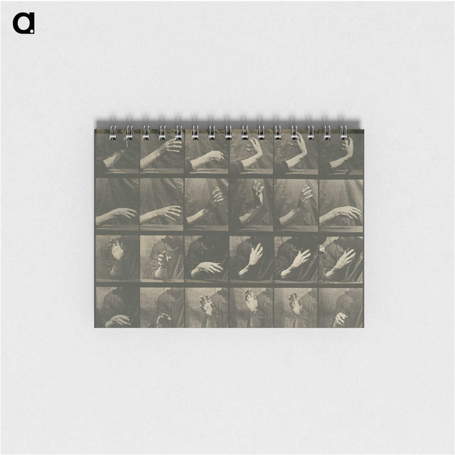 1-7_Eadweard-Muybridge_memo