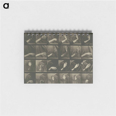アートメモ帳-Animal Locomotion, Plate 535
 - エドワード マイブリッジ Memo.