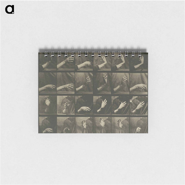 アートメモ帳-Animal Locomotion, Plate 535
 - エドワード マイブリッジ Memo.