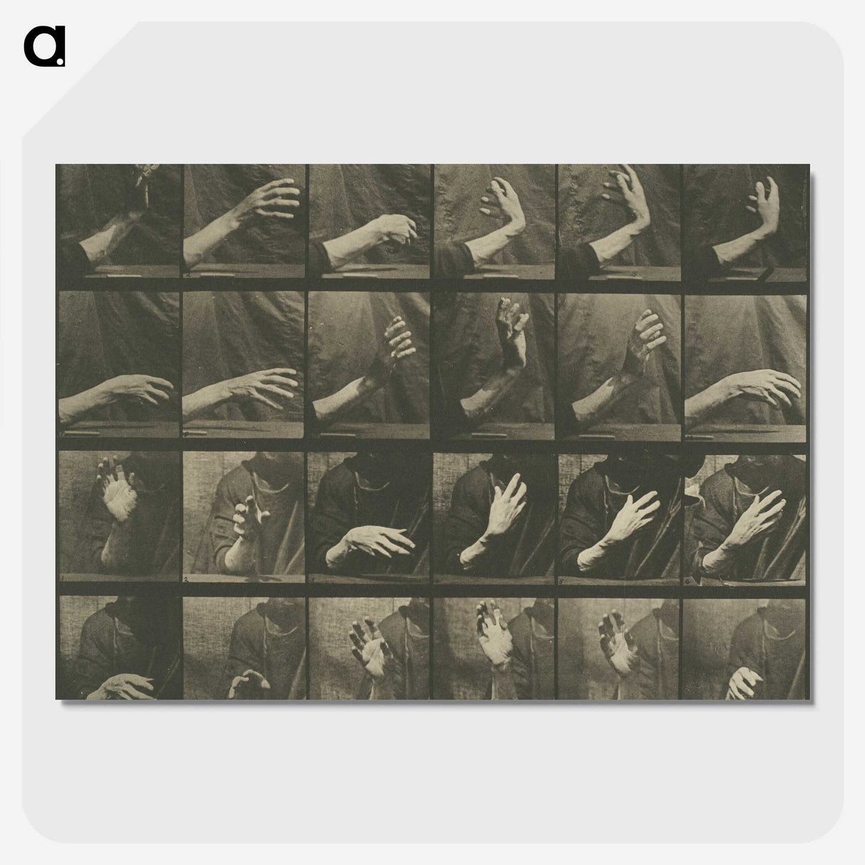 1-7_Eadweard-Muybridge_picture-crop
