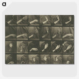 1-7_Eadweard-Muybridge_picture-crop