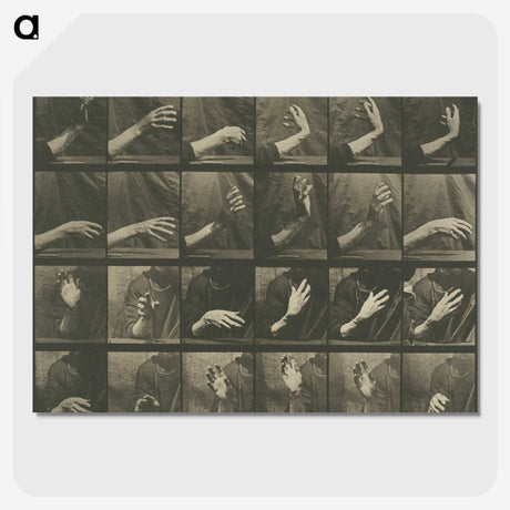 1-7_Eadweard-Muybridge_picture-crop