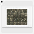 1-7_Eadweard-Muybridge_picture