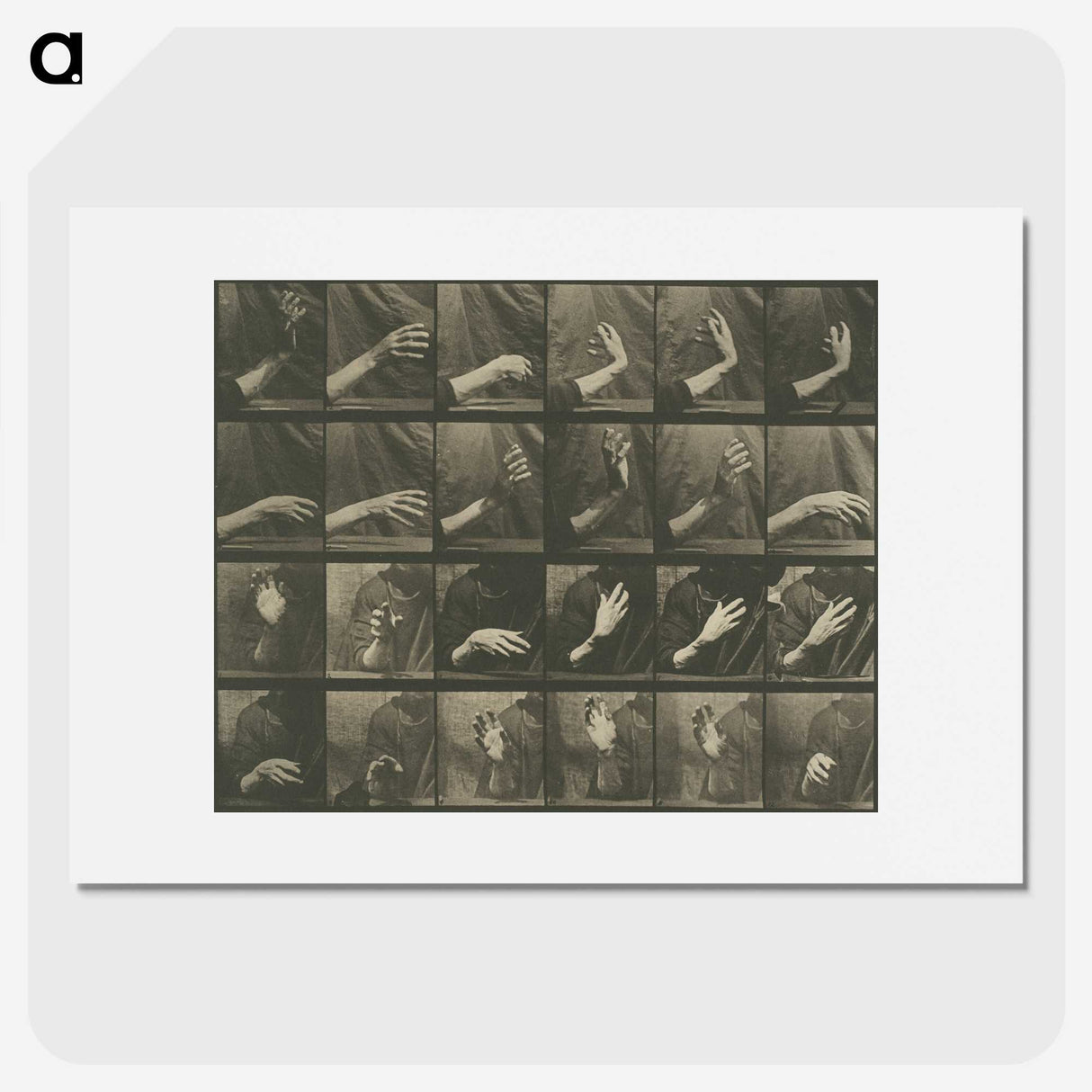 1-7_Eadweard-Muybridge_picture