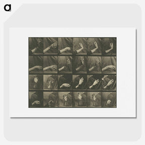 1-7_Eadweard-Muybridge_picture