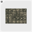 1-7_Eadweard-Muybridge_postcard