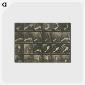1-7_Eadweard-Muybridge_postcard