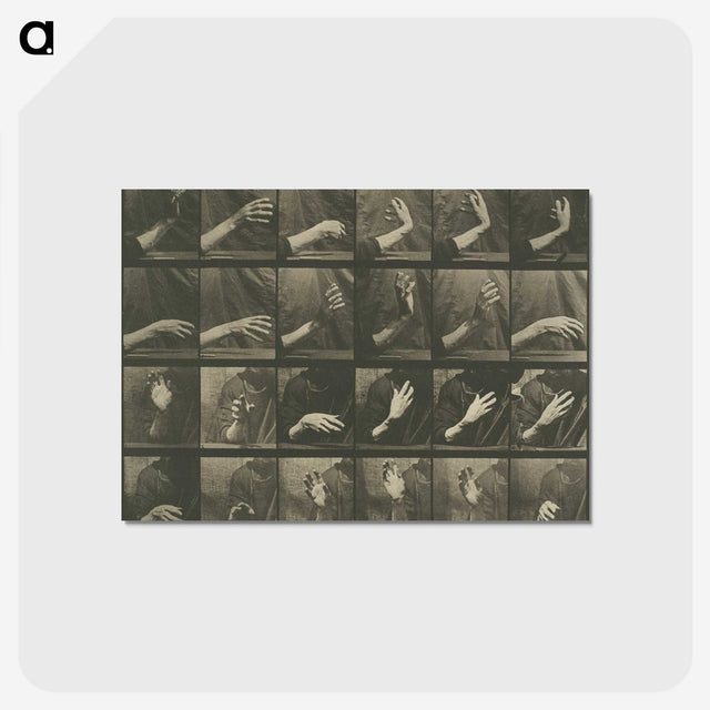 1-7_Eadweard-Muybridge_postcard
