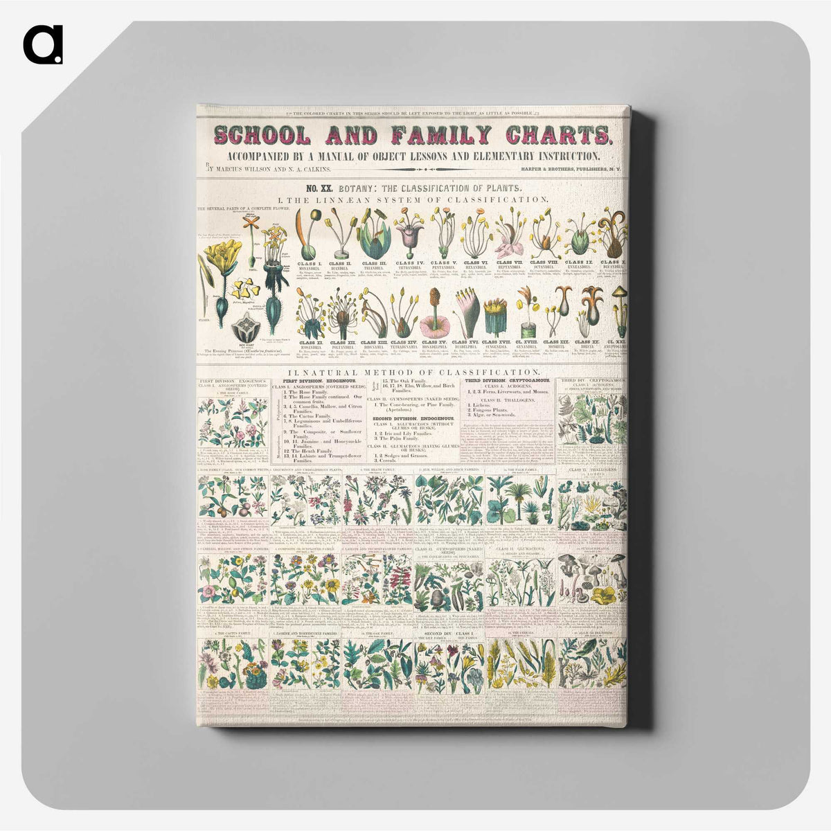 1-7_Education-Charts_canvas
