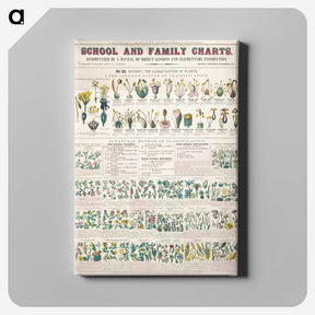 1-7_Education-Charts_canvas