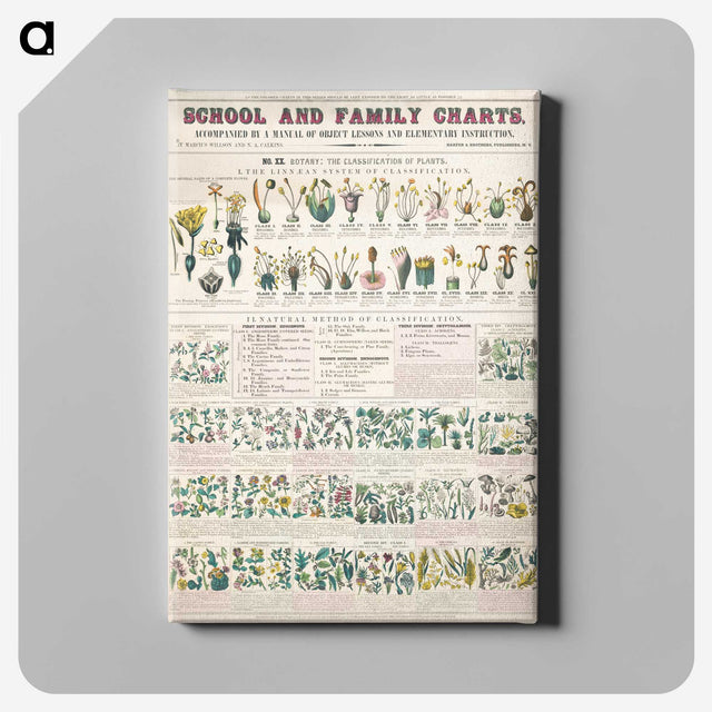 1-7_Education-Charts_canvas
