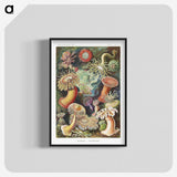1-7_Ernst-Haeckel_blk-crop